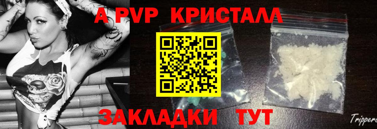 Alpha PVP СК КРИС Елизово