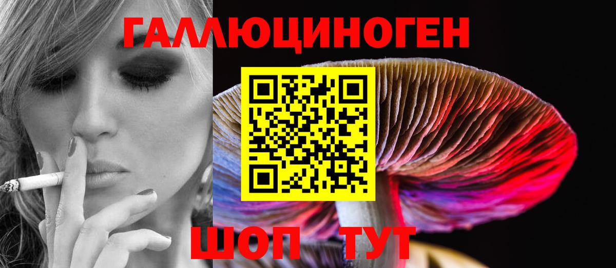Псилоцибиновые грибы MAGIC MUSHROOMS Елизово
